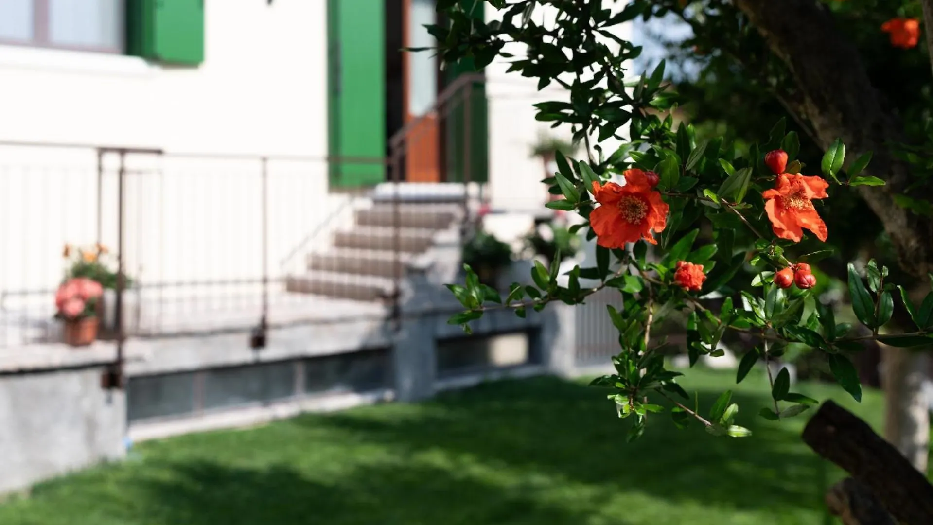 Giardino Del Borgo Appartamento Valpolicella Sant'Ambrogio di Valpolicella Apartment