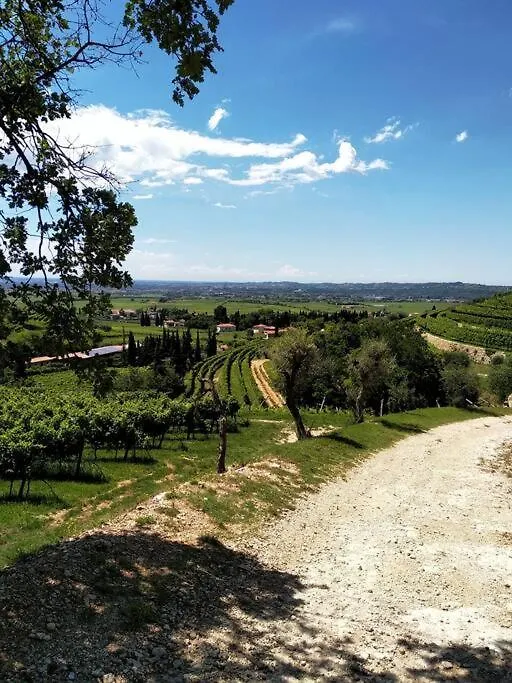 Giardino Del Borgo Appartamento Valpolicella Sant'Ambrogio di Valpolicella